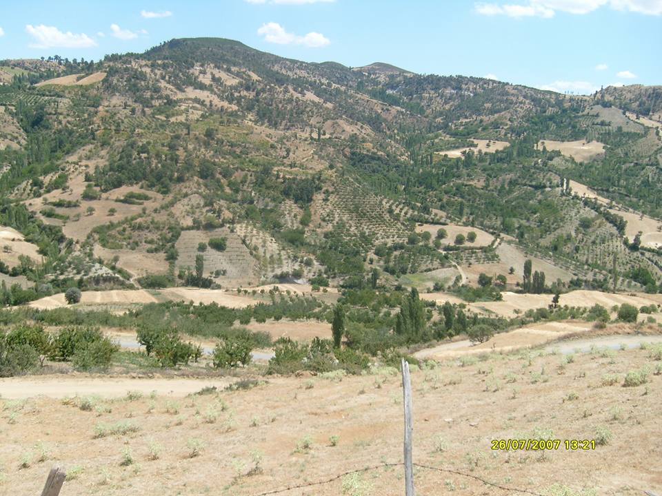 Turgay Asmalıkaya 26 Temmuz 2007 3